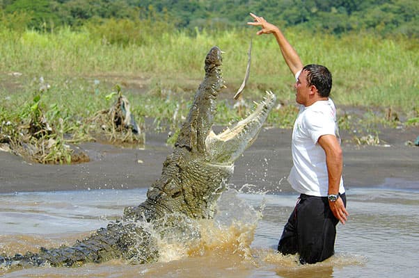 Crocodile Tour