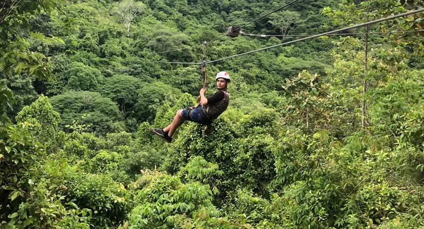 Ziplines & Hanging Bridges