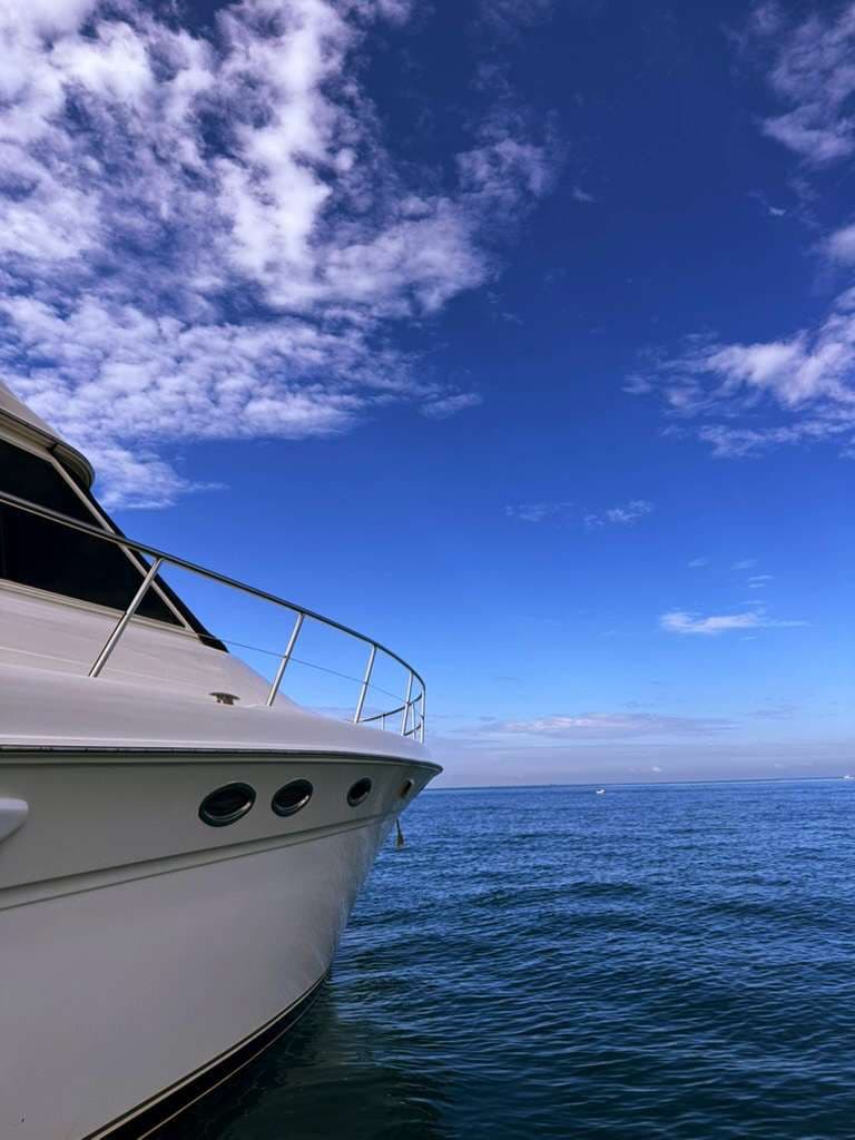 50′ Luxury Boat