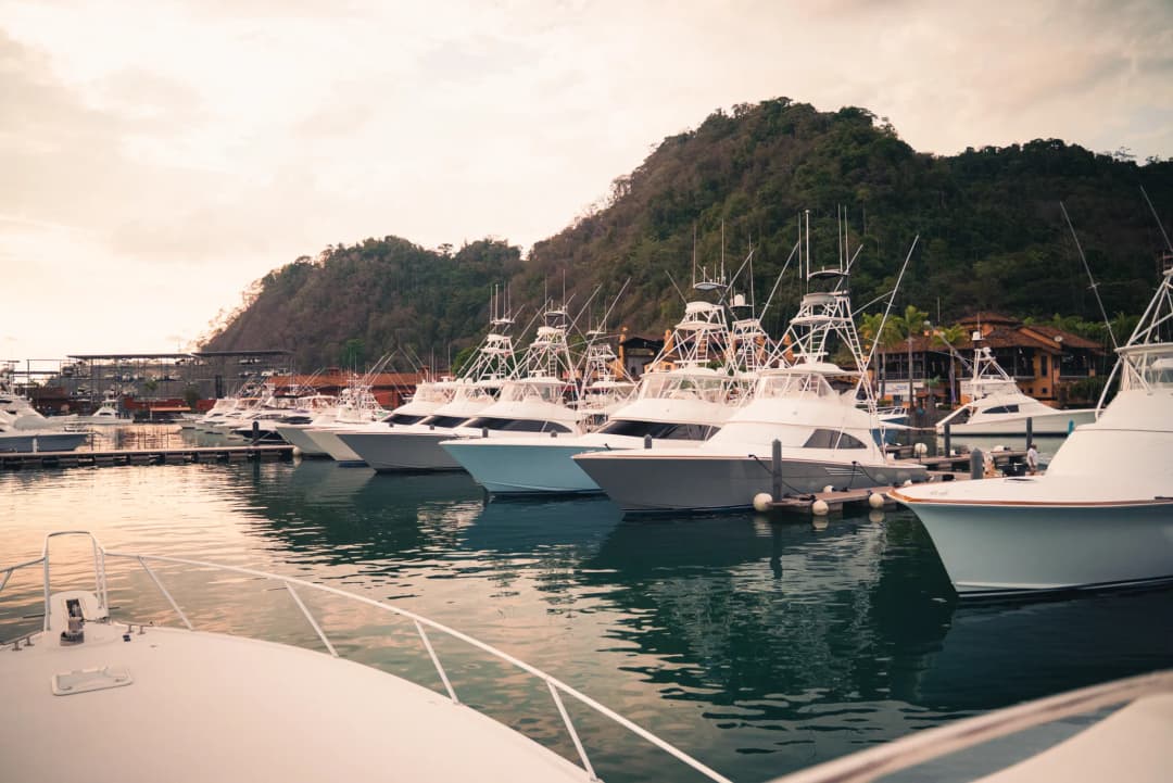 Merry Marlin – 38′ SportsFisher