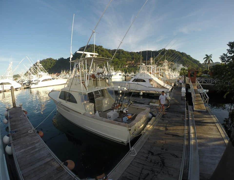 Merry Marlin – 38′ SportsFisher