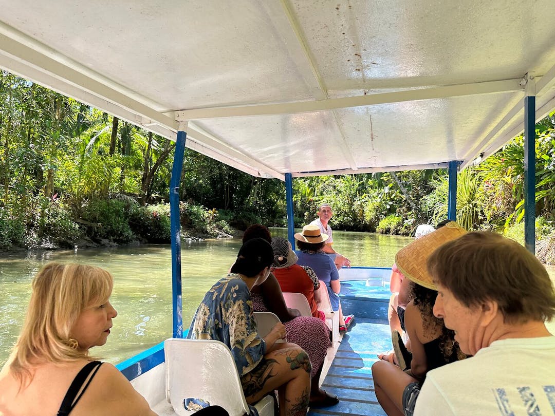 Monkey Mangrove Boat Tour