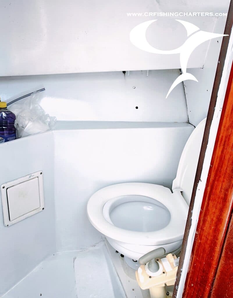 Predator – 28′ Shamrock Express